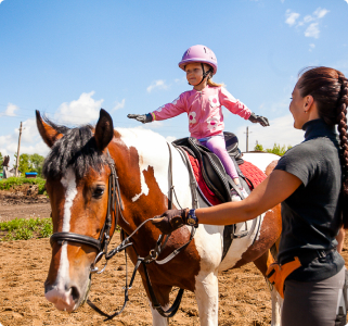 horse and human